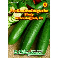 Saatgut Freilandsalatgurke Sindy F1 Ausreichend Für Ca. 8 - 10 Pflanzen