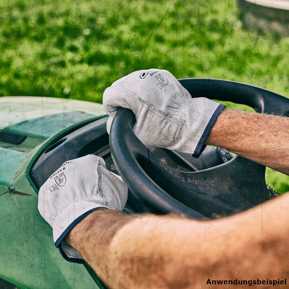Handschuhe Driver Größe 9, L Aus Rindsvollleder In Hellgrau – Bild 3