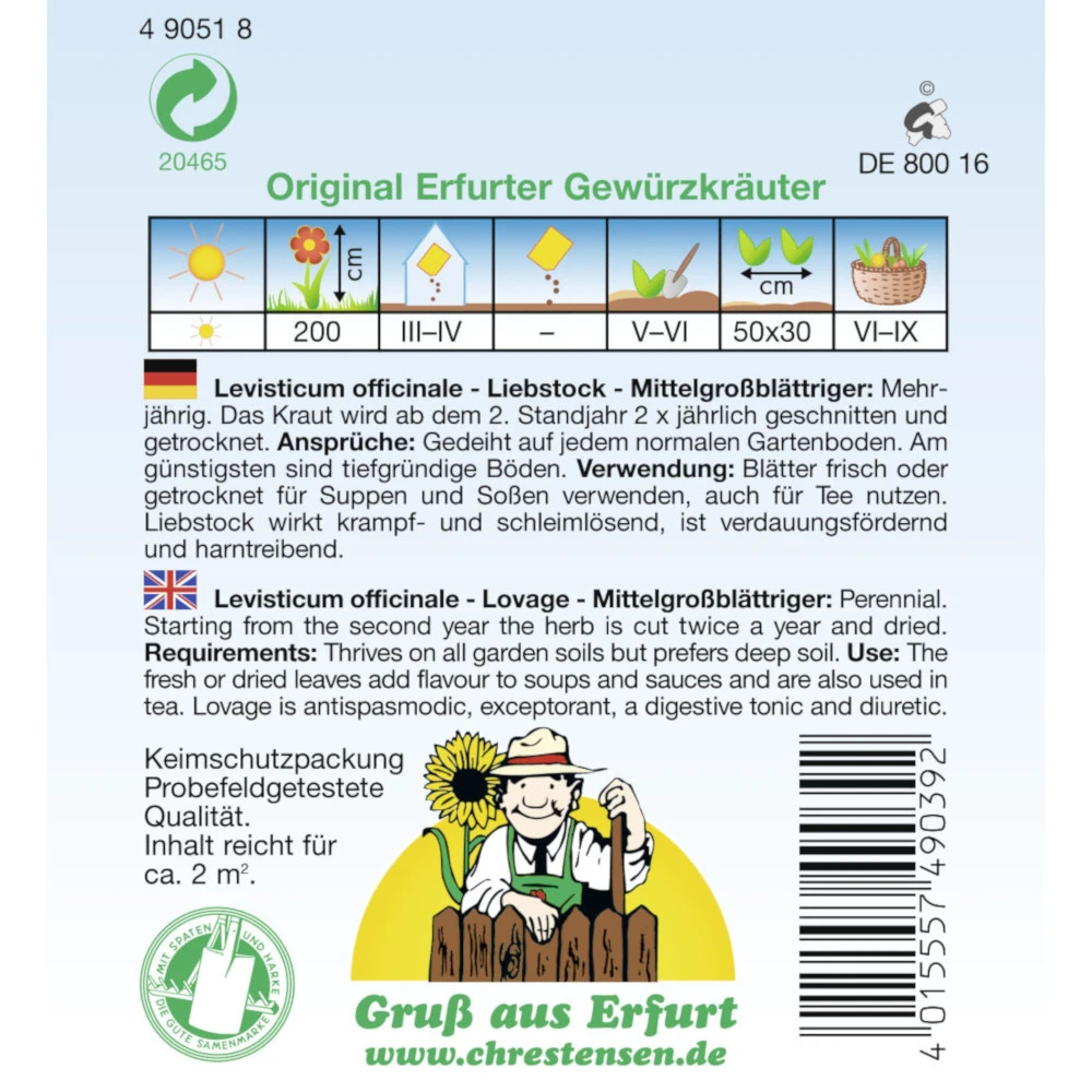 Saatgut Liebstock Mittelgroßblättriger Gewürzkraut Mehrjährig, Für Ca. 2 M² – Bild 2