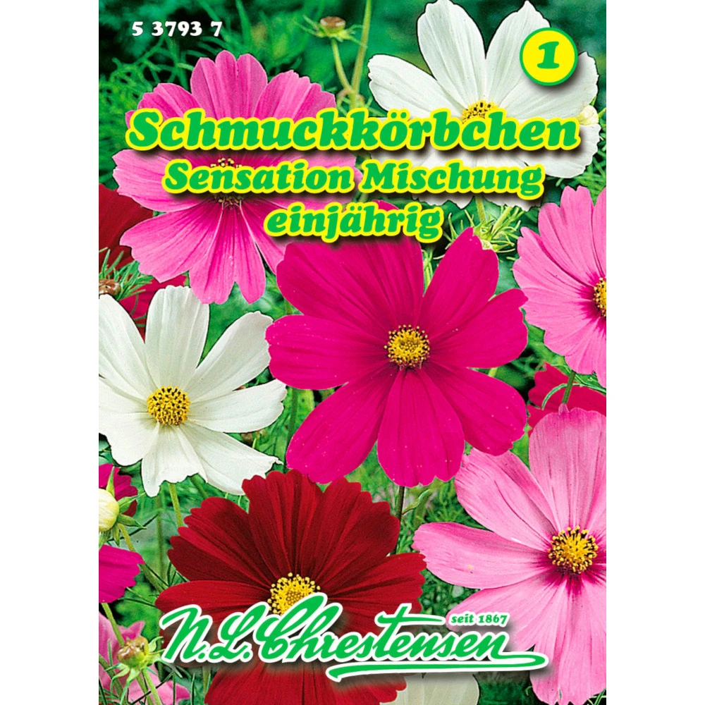 Saatgut Cosmos Sensations-Mischung, FĂŒr Ca. 40 Pflanzen