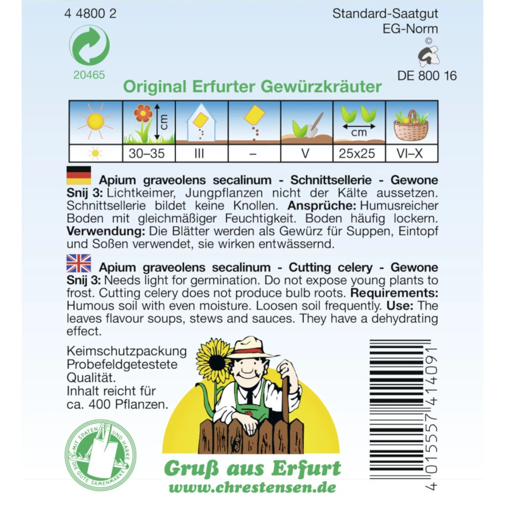 Saatgut Schnittsellerie Gewone Snij 3 Gewürzkraut – Bild 2