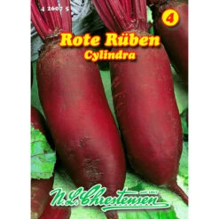 Saatgut Rote Rübe Cylindra Spät Reif Für Ca. 120 Pflanzen