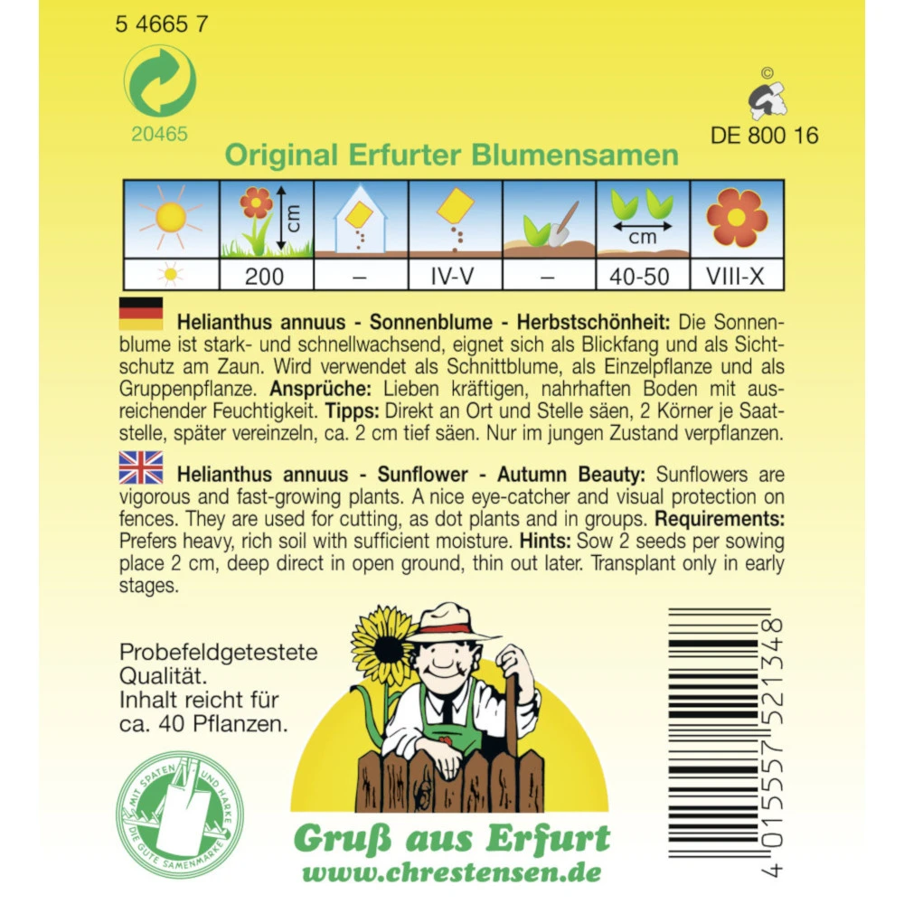 Saatgut Sonnenblume Herbstschönheit Einjährig Für Ca. 40 Pflanzen – Bild 2