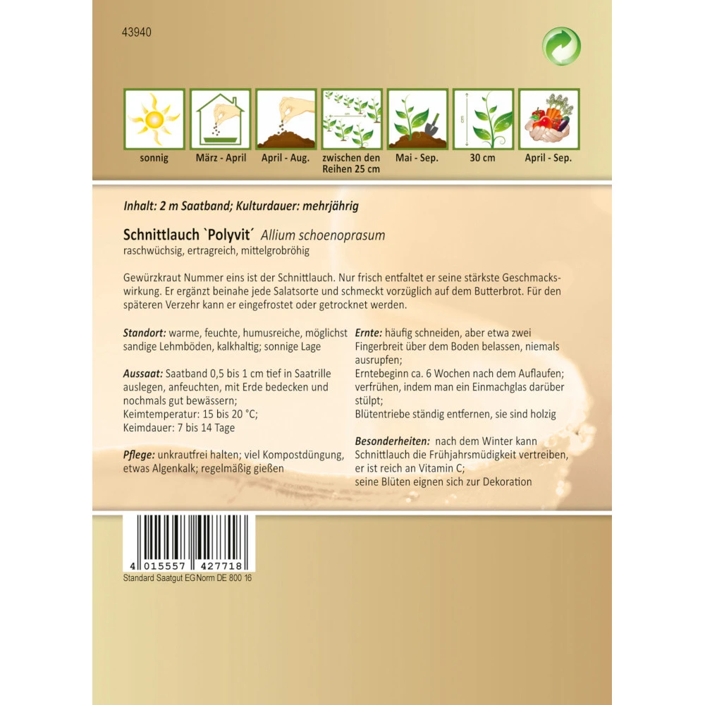 Saatgut Schnittlauch Polyvit Ca. 2 Meter Saatband, Ertragreich Und Raschwüchsig – Bild 2