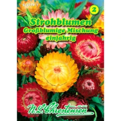 Saatgut Strohblumen-Mischung Großblumig Einjährig Für Ca. 100 Pflanzen