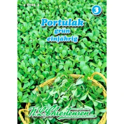 Saatgut Portulak Grün Gewürzkraut Einjährig Für Ca. 2 – 3 M²