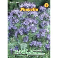 Saatgut Phacelia 60-70 Cm Zur Bodenverbesserung Mit Blauen Blüten