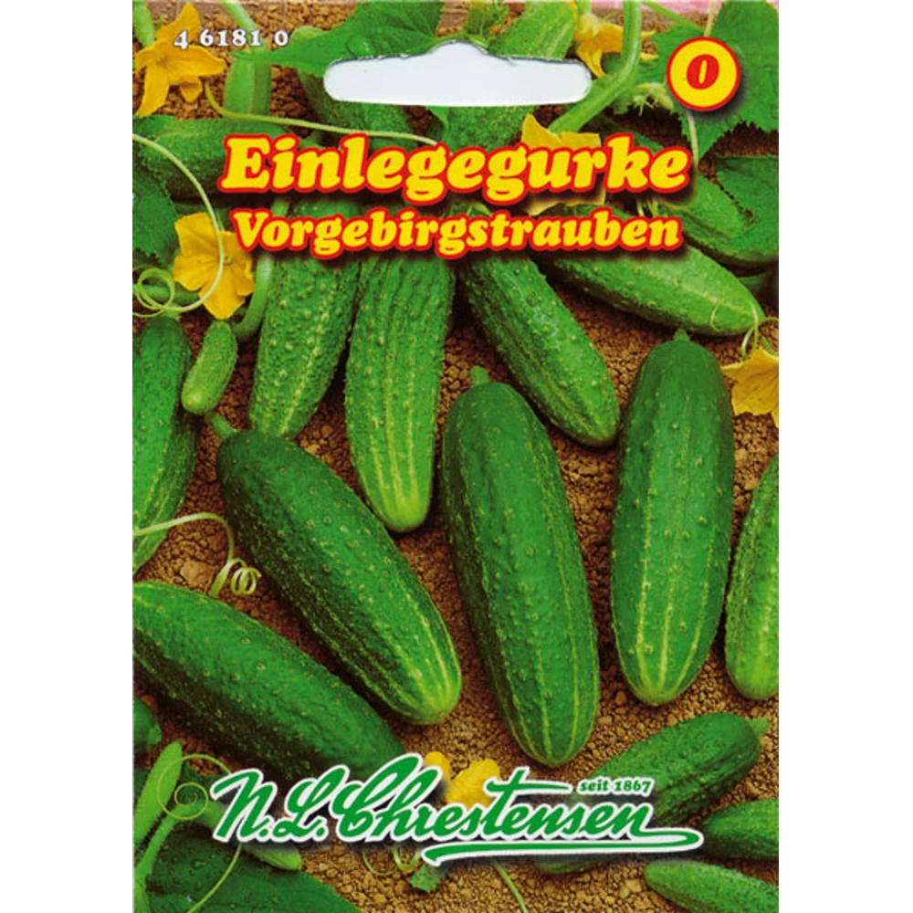 Saatgut Einlegegurke Schnellwüchsig - Vorgebirgstrauben Mit Frühem Ertrag