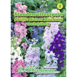 Saatgut Staudenrittersporn Pacific Standfest Und Großblütig