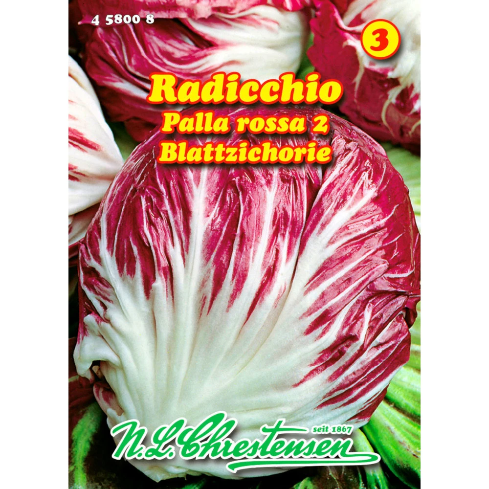 Saatgut Radicchio Palla Rossa 2 FĂŒr Ca. 40 Pflanzen