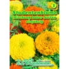 Saatgut Studentenblume Tagetes Mischung, Für Ca. 60 Pflanzen