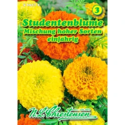 Saatgut Studentenblume Tagetes Mischung, Für Ca. 60 Pflanzen