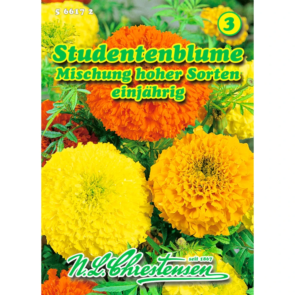 Saatgut Studentenblume Tagetes Mischung, FĂŒr Ca. 60 Pflanzen
