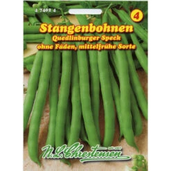 Saatgut Stangenbohne Quedlinburger Speck Für Ca. 15 Stangen