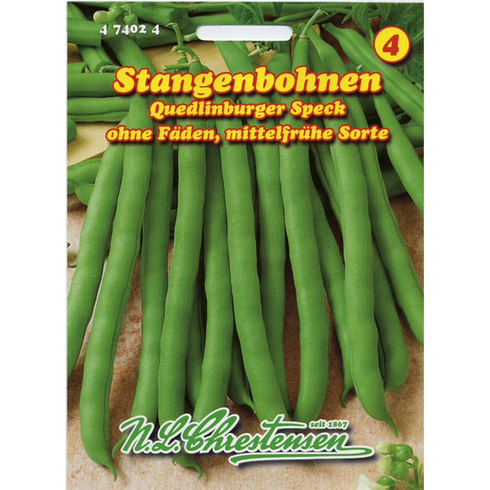 Saatgut Stangenbohne Quedlinburger Speck FĂŒr Ca. 15 Stangen