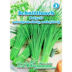 Saatgut Schnittlauch Polyvit, Reicht Für Ca. 3 – 4 Laufende Meter