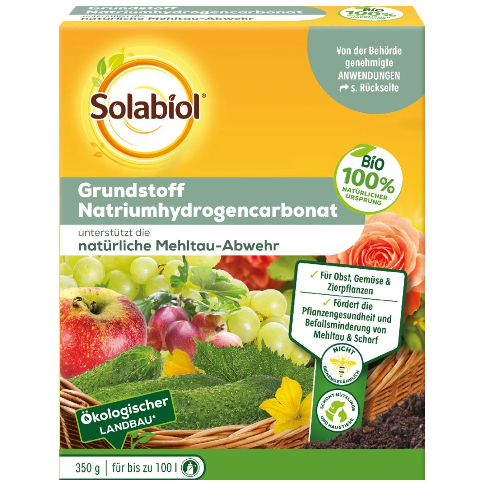 SolabiolÂź Grundstoff Natriumhydrogencarbonat-Konzentrat 350 G