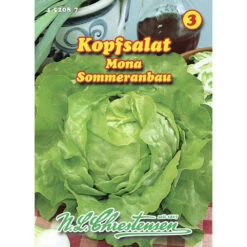 Saatgut Kopfsalat Mona Mit Hoher Widerstandfähigkeit Und Aromatischen Blättern