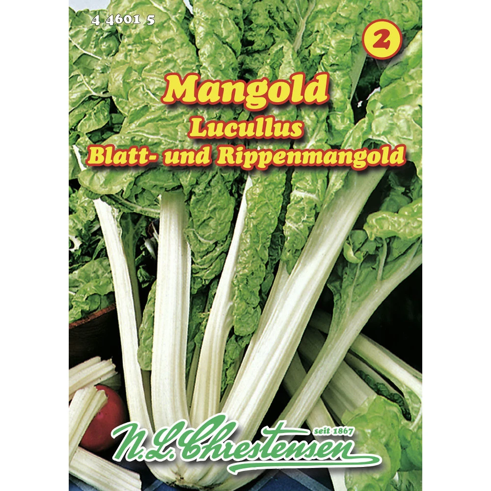 Saatgut Mangold Lucullus Für Frühjahrs- Und Herbstaussaat