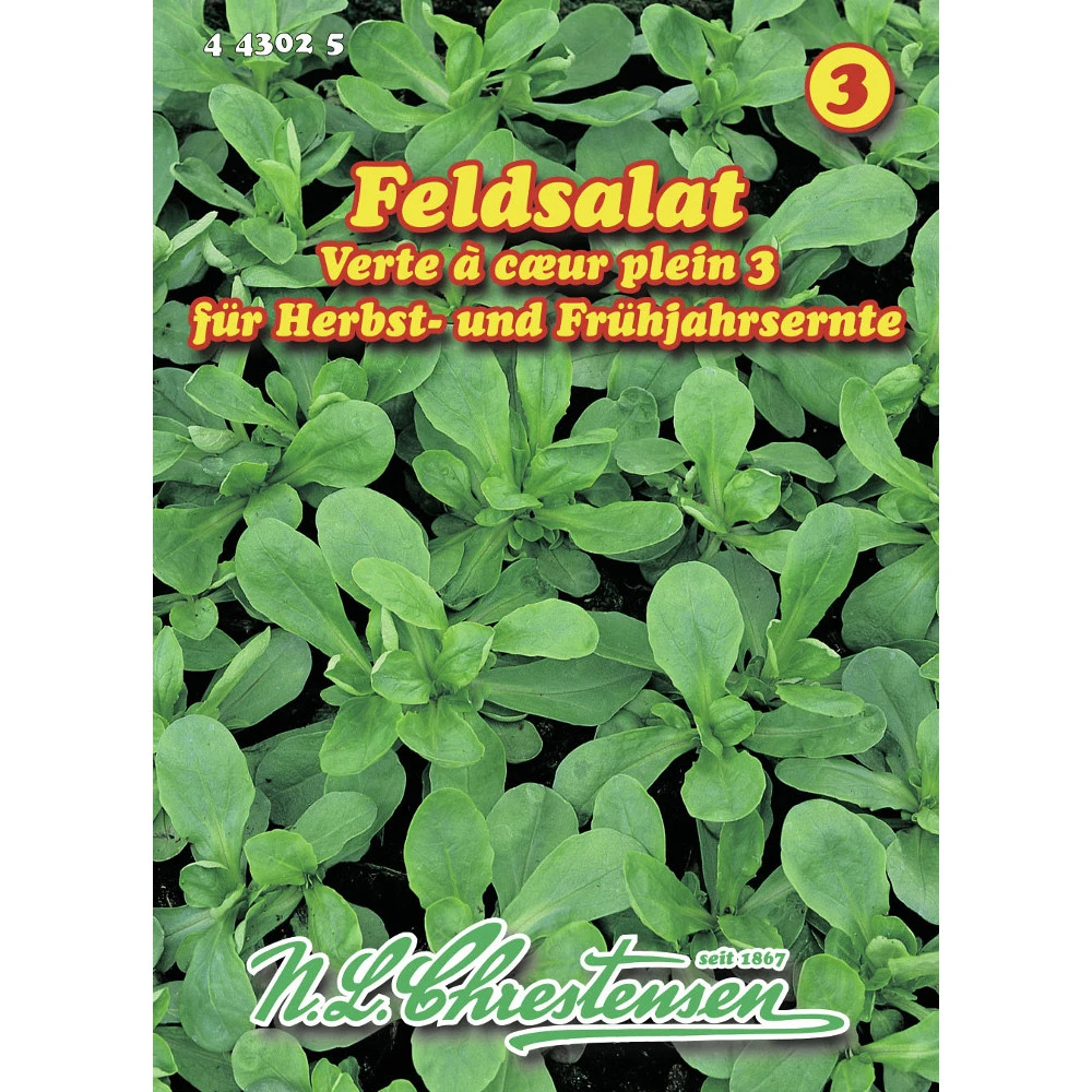 Saatgut Feldsalat Verte A Coeur Plein 3