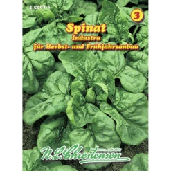Saatgut Spinat Industra Gute Widerstandsfähigkeit Und Hoher Ertrag