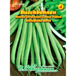 Saatgut Buschbohnen Sotexa Mittelfrühe Sorte, Ohne Fäden
