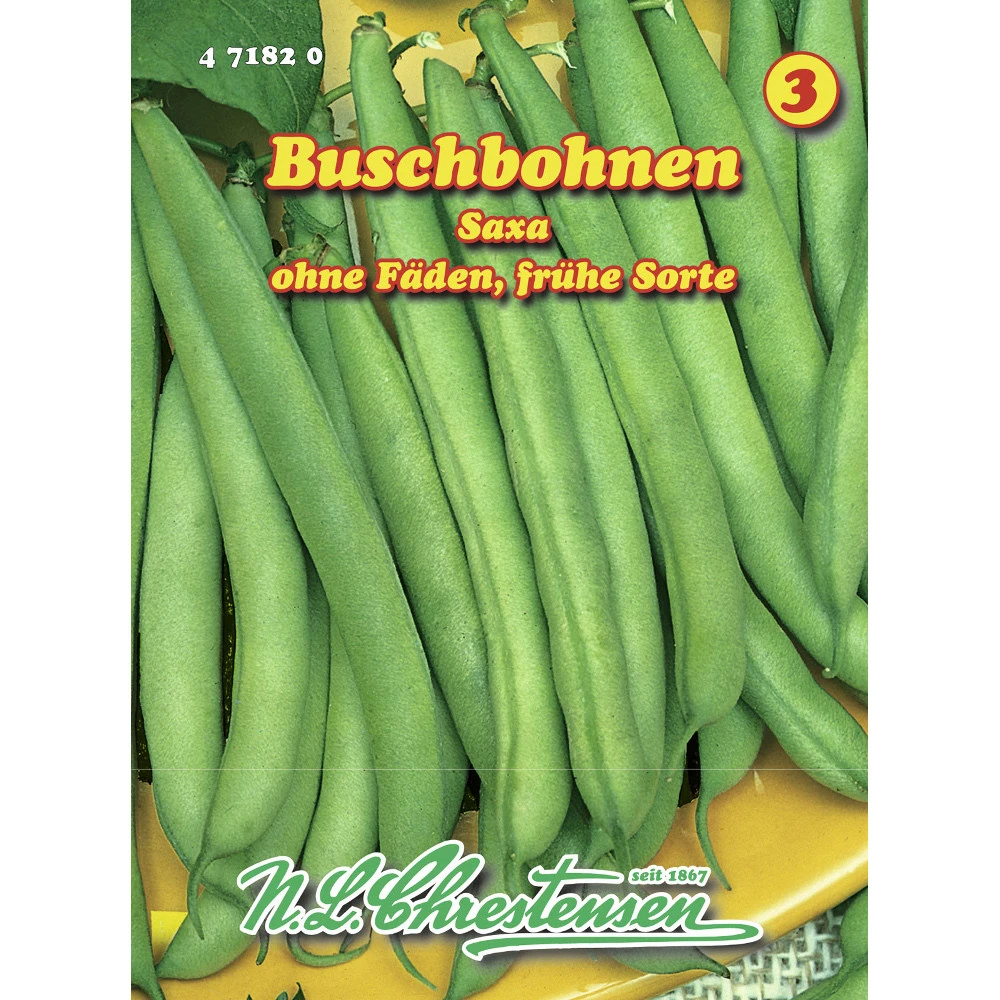 Saatgut Buschbohnen Saxa Ertragreich FĂŒr Ca. 7-9 Laufende Meter
