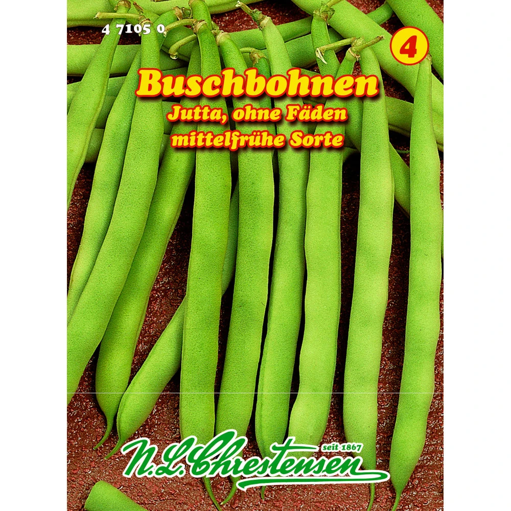 Saatgut Buschbohnen Jutta Mittelfrühe Sorte, Ohne Fäden