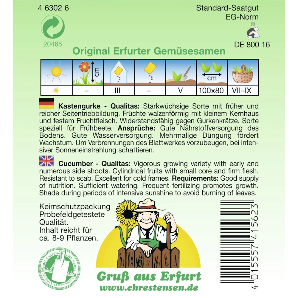 Saatgut Kastengurke Qualitas Starkwüchsig, Für Ca. 8 - 9 Pflanzen – Bild 2