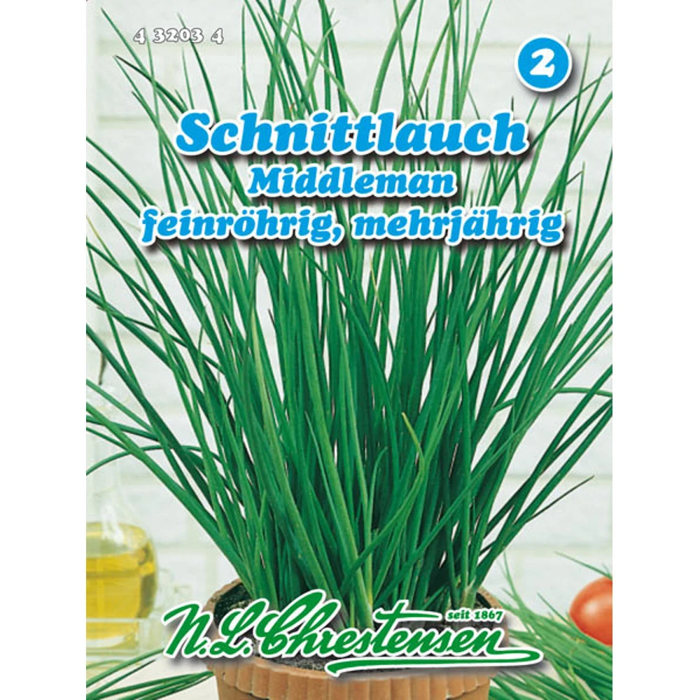Schnittlauch Middleman Reich An Vitaminen Und Mineralien