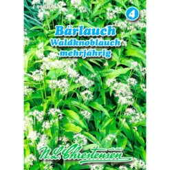 Saatgut Bärlauch Gewürzkraut Mehrjährig Für Ca. 30 Pflanzen