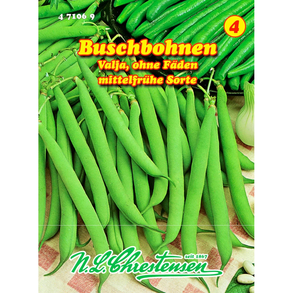 Saatgut Buschbohnen Valja Mittelfrühe Sorte, Ohne Fäden