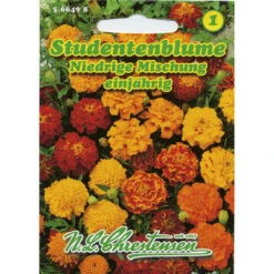 Saatgut Studentenblume Niedrige Mischung Für Ca. 60 Pflanzen