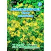 Saatgut Johanniskraut Topaz Gewürzkraut Mehrjährig, Für Ca. 4 Laufende Meter