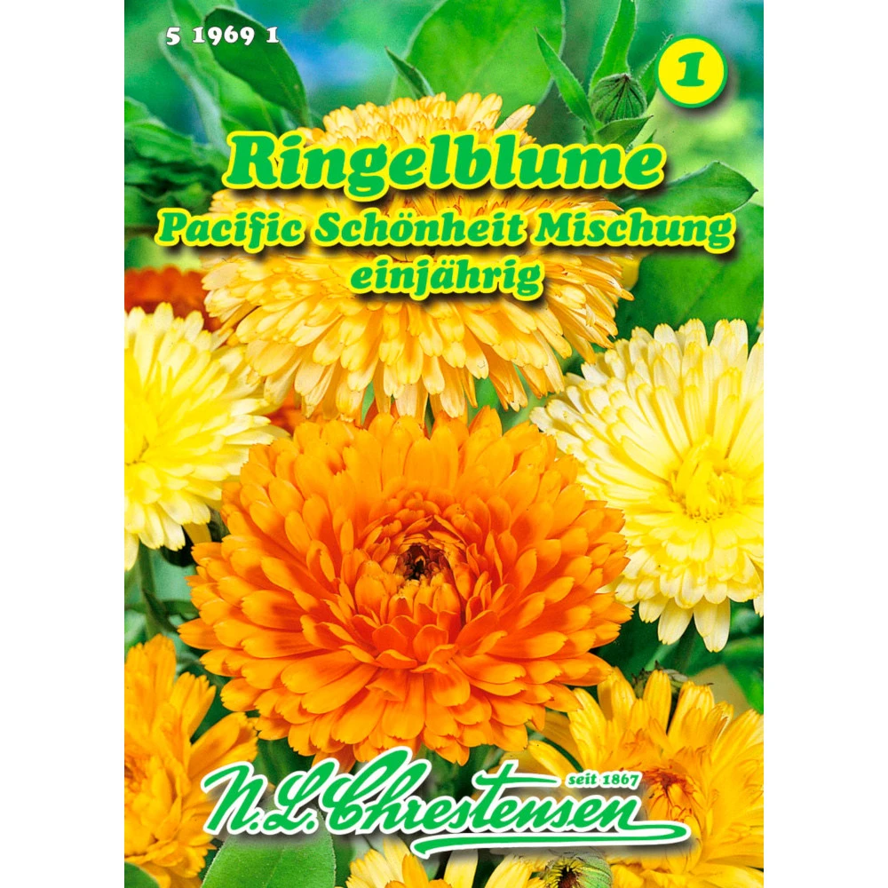 Saatgut Ringelblume-Mischung Pacific Schönheit