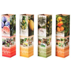 Mediterraner Pflanzenmix In Verschiedenen Sorten Im Topf