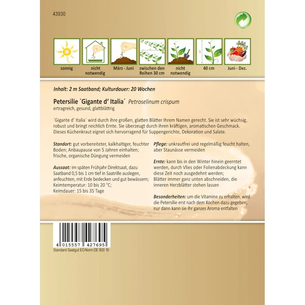 Saatgut Schnittpetersilie Gigante D´ Italia Gewürzkraut Ca. 2 Meter Saatband – Bild 2