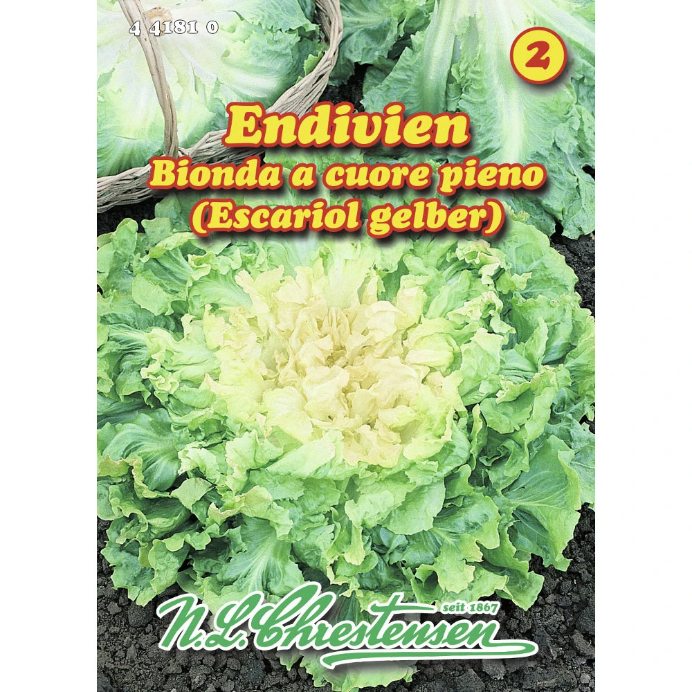 Saatgut Endivien Sehr WiderstandsfÀhig