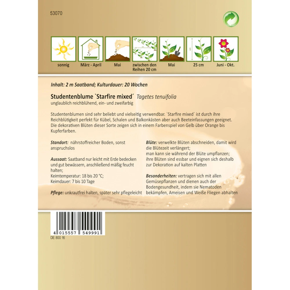 Saatgut Studentenblume Starfire Mischung, Ca. 2 Meter Saatband – Bild 2