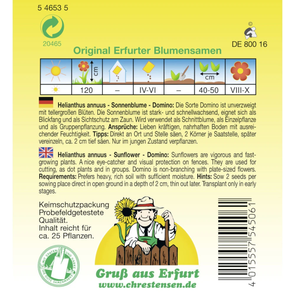 Saatgut Sonnenblume Domino Einjährig Für Ca. 25 Pflanzen – Bild 2