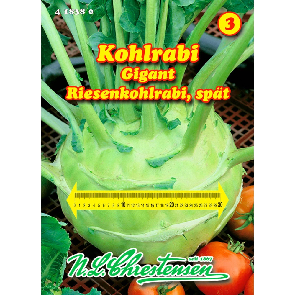 Saatgut Kohlrabi Giant Weiß, Reicht Für Ca. 60 Pflanzen