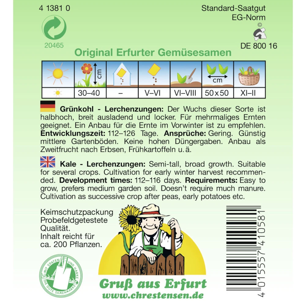 Saatgut Grünkohl Lerchenzungen, Reicht Für Ca. 200 Pflanzen – Bild 2