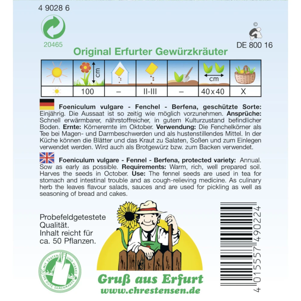Saatgut Fenchel Berfena GS Gewürkraut Einjährig, Für Ca. 50 Pflanzen – Bild 2