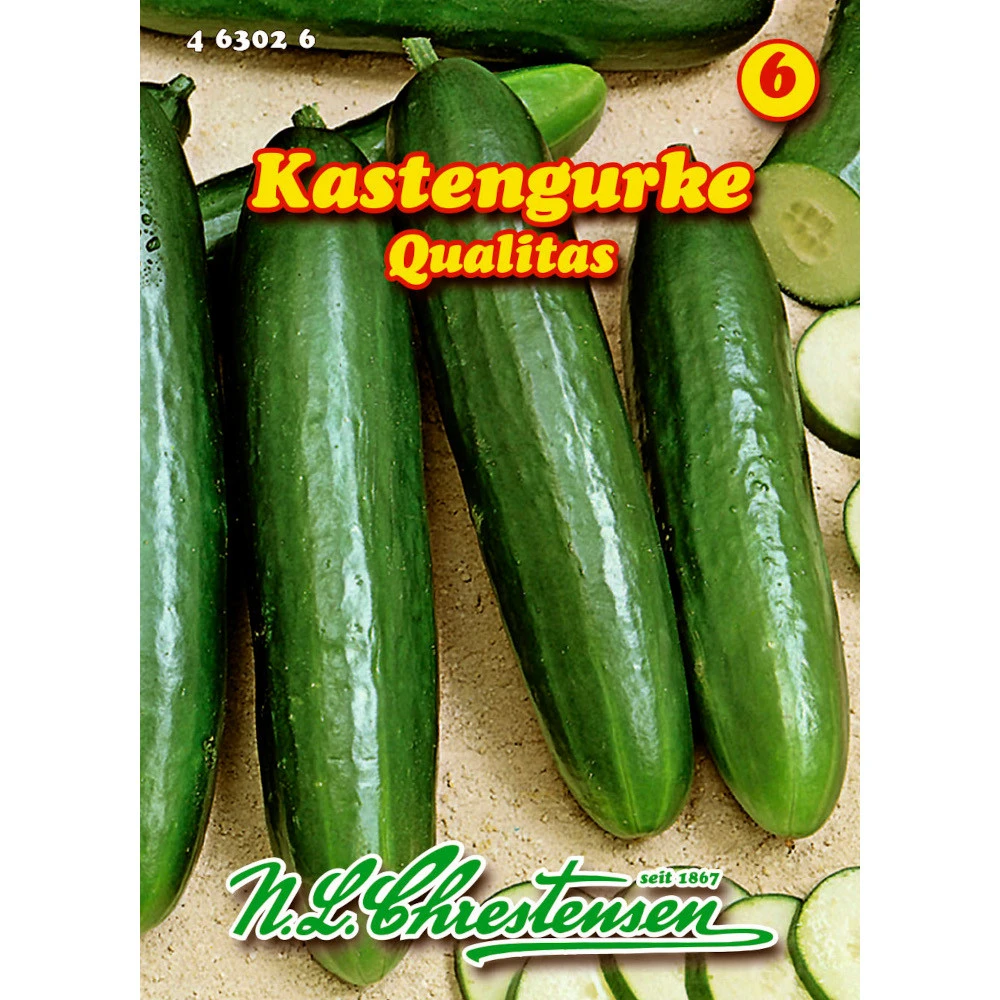 Saatgut Kastengurke Qualitas Starkwüchsig, Für Ca. 8 - 9 Pflanzen