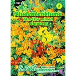 Saatgut Studentenblume Starfire-Mischung Einjährig Für Ca. 45 Pflanzen