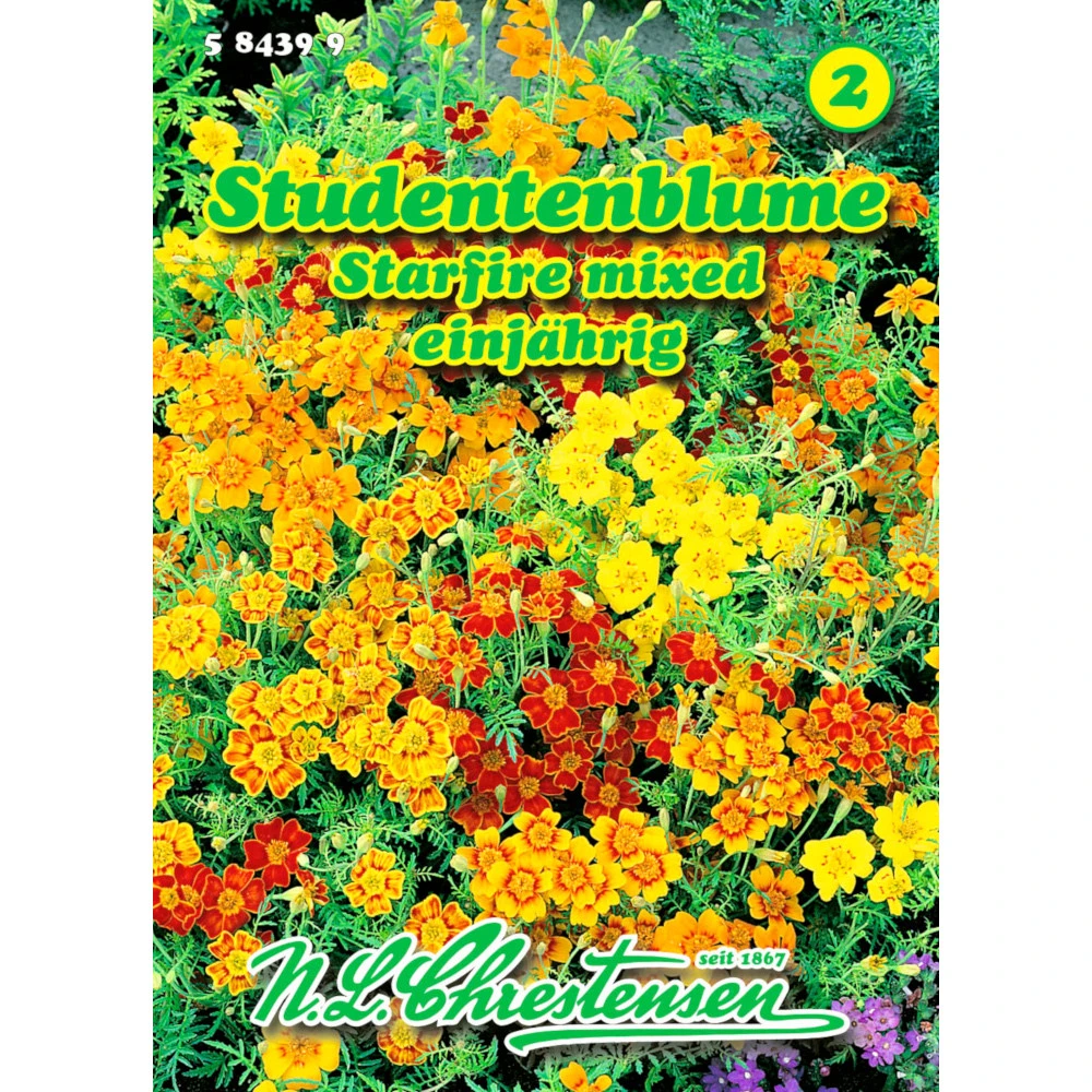 Saatgut Studentenblume Starfire-Mischung Einjährig Für Ca. 45 Pflanzen