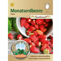 Saatgut Monatserdbeere Rügen Immertragend Ca. 2 Meter Saatband
