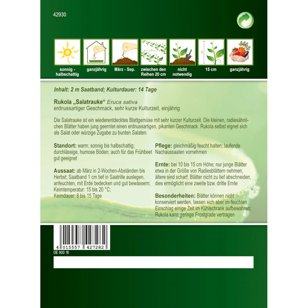Saatgut Rukola Salatrauke, Ca. 2 Meter Saatband, Mit Sehr Kurzer Kulturzeit â Bild 2