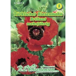 Saatgut Türkischer Riesenmohn Brillant