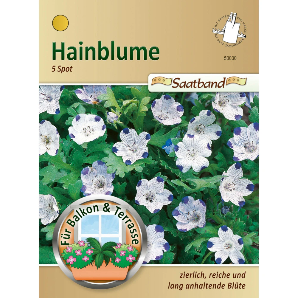 Saatgut Hainblume Nemophila Maculata, Ca. 2 Meter Saatband